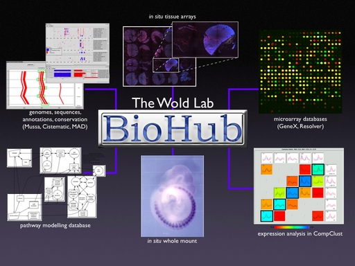 biohub-picture-small.jpg