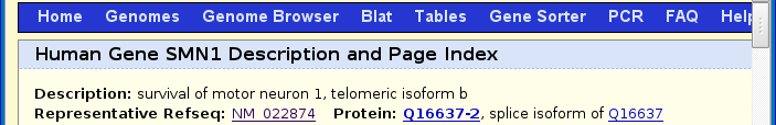 Genome Browser - SMN1 (human) - Description page
