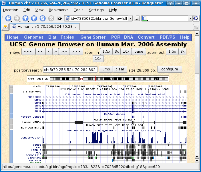 Genome Browser - SMN1 (human)