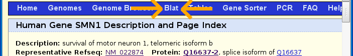 Genome Browser - SMN1 (human) - Blat