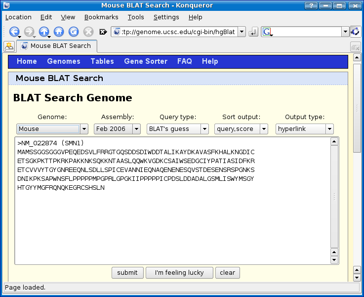 Genome Browser - SMN1 (human) - Blat paste protein