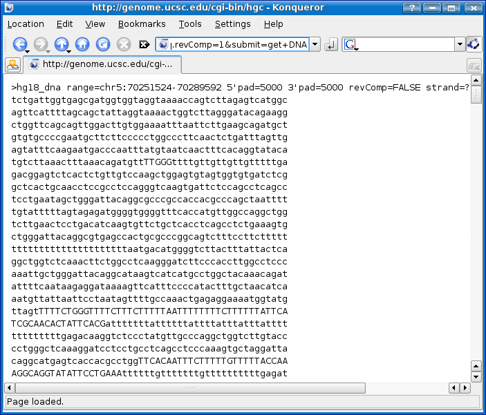 Genome Browser - SMN1 (human) - DNA